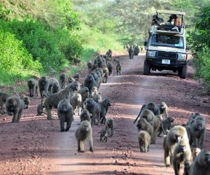 Lake-Manyara_2